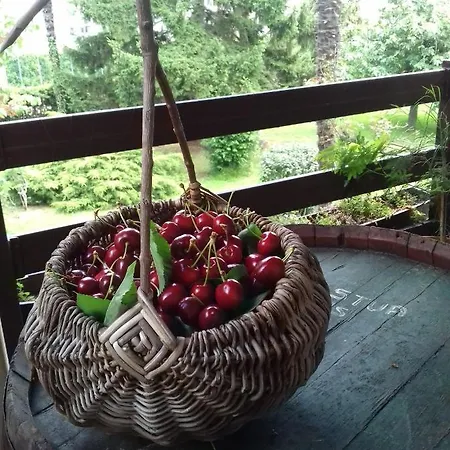 Bed and breakfast Della Stua 3*