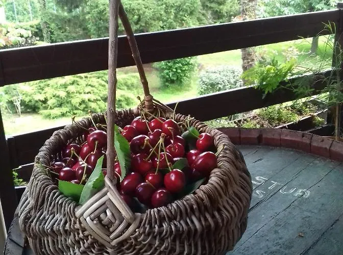 Bed & Breakfast Della Stua 3*